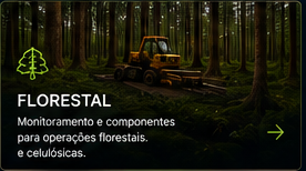 Setor florestal